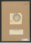 Diatomeae indet. Zeichnungen Sammlung Grunow Nr. 8986 (NHMW-BOT-W0378684)